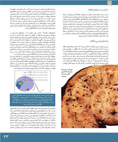 علوم اعصاب دانش مغز - نمونه چهارم - جزیره کتاب های الکترونیکی